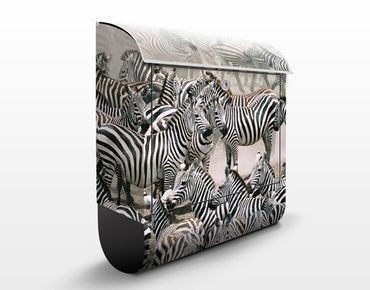 Boite aux lettres - Zebra Herd