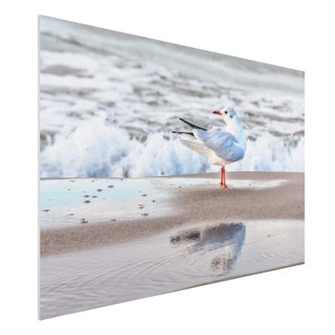 Impression sur forex - Seagull On The Beach In Front Of The Sea
