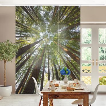 Set de panneaux coulissants - Sequoia Tree Tops