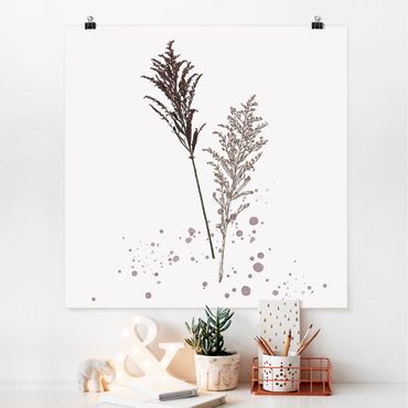 Poster - Botanical Watercolour - Fescue Reed