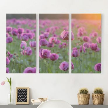 Impression sur toile 3 parties - Purple Poppy Flower Meadow In Spring