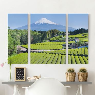 Impression sur toile 3 parties - Tea Fields In Front Of The Fuji
