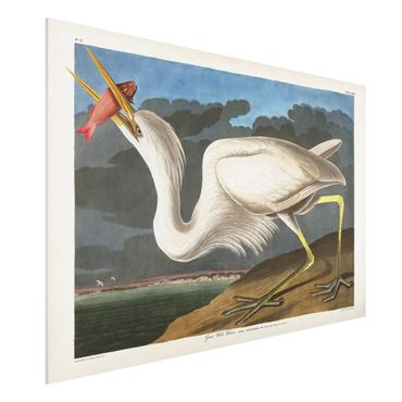 Impression sur forex - Vintage Board Great White Egret