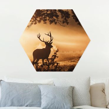 Hexagone en forex - Deer In The Winter Forest