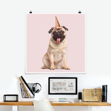 Poster - Mops With Ice Cream Cone