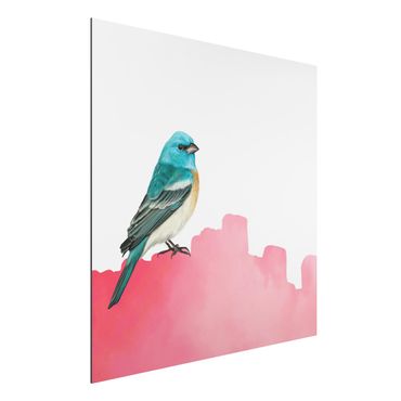 Tableau sur aluminium - Bird On Pink Backdrop