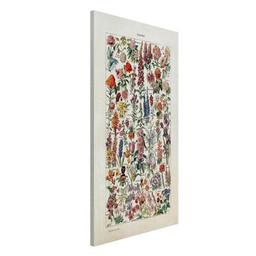 Tableau magnétique - Vintage Board Flowers V