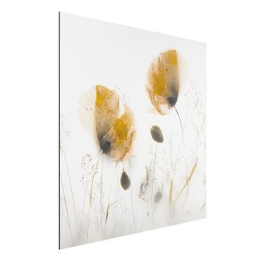 Tableau sur aluminium - Poppy Flowers And Delicate Grasses In Soft Fog