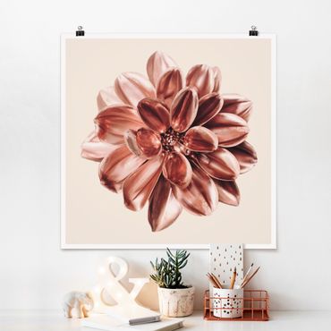 Poster - Dahlia Pink Gold Pink Centered