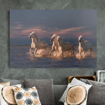 Impression sur toile - Wild Horses In Kamargue