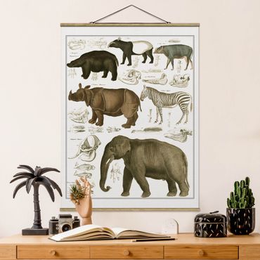 Tableau en tissu avec porte-affiche - Vintage Board Elephant, Zebra And Rhino