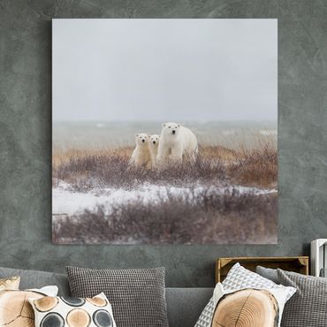 Impression sur toile - Polar Bear And Her Cubs