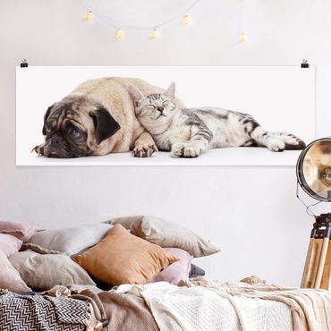 Poster animaux - Best Friends