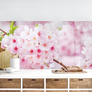 Revêtement mural cuisine - Japanese Cherry Blossoms
