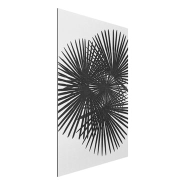 Tableau sur aluminium - Palm Leaves In Black And White