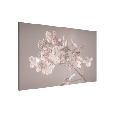 Tableau magnétique - Delicate White Hydrangea
