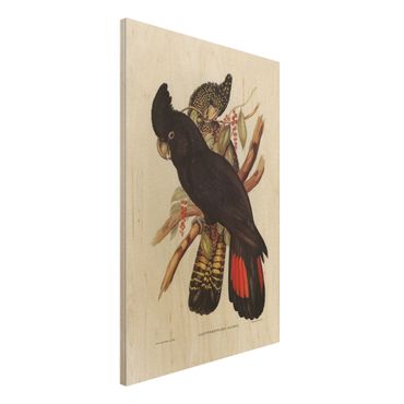 Impression sur bois - Vintage Illustration Black Cockatoo Black Gold