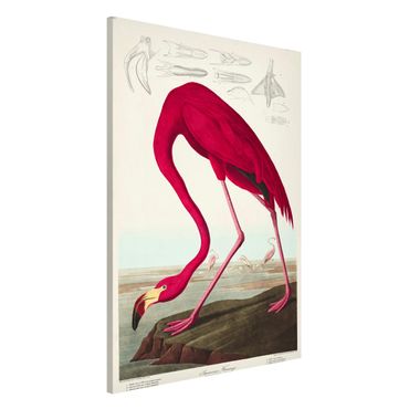 Tableau magnétique - Vintage Board American Flamingo