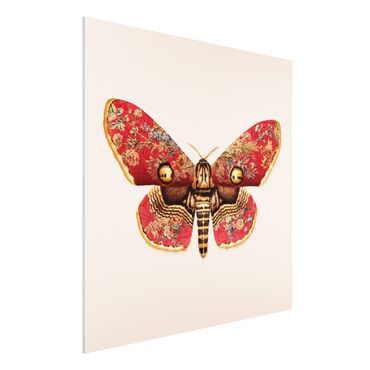 Impression sur forex - Vintage Moth