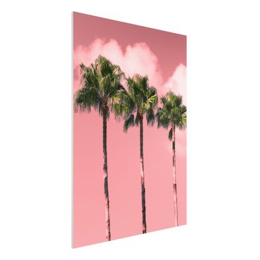 Impression sur forex - Palm Trees Against Sky Pink