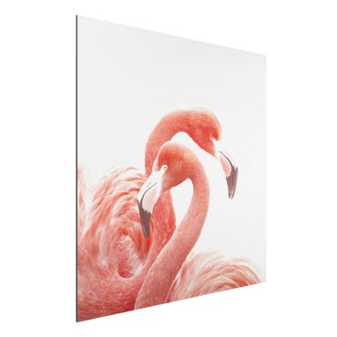 Tableau sur aluminium - Two Flamingos