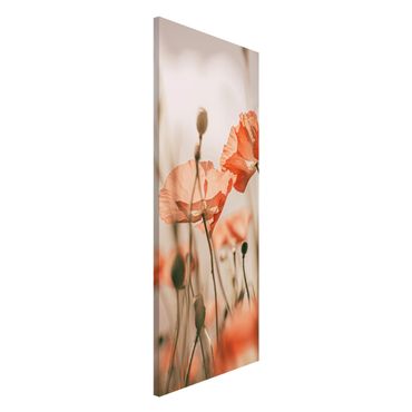 Tableau magnétique - Poppy Flowers In Summer Breeze