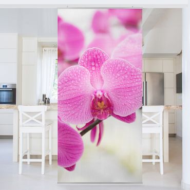 Panneau de séparation - Close-Up Orchid