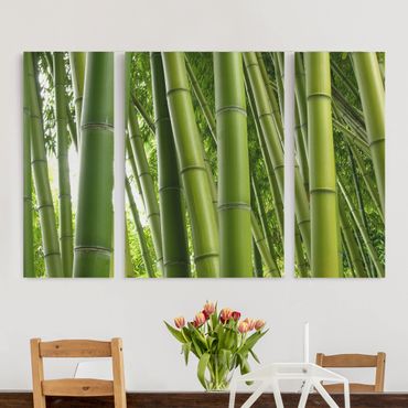 Impression sur toile 3 parties - Bamboo Trees