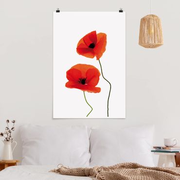 Poster - Charming Poppies