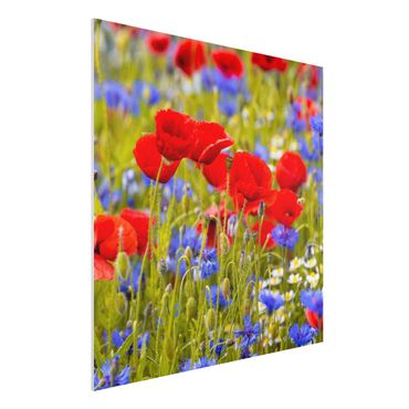 Impression sur forex - Summer Meadow With Poppies And Cornflowers