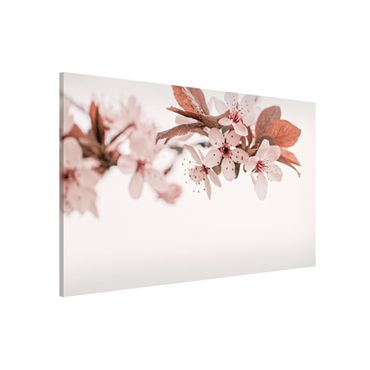 Tableau magnétique - Delicate Cherry Blossoms On A Twig