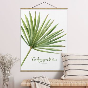 Tableau en tissu avec porte-affiche - Watercolour Botany Trachycarpus Fortunei