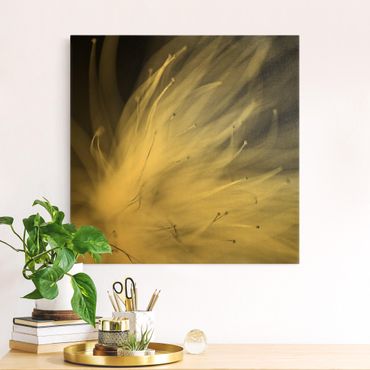 Tableau sur toile or - Pollen Black And White