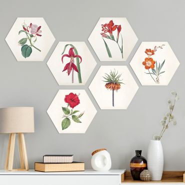 Hexagone en alu Dibond - Garden Beauty Set IV