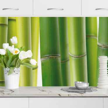 Revêtement mural cuisine - Bamboo Plants II