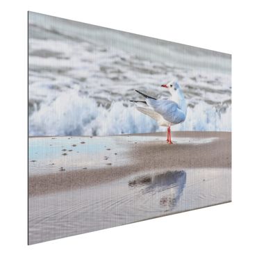 Impression sur aluminium - Seagull On The Beach In Front Of The Sea