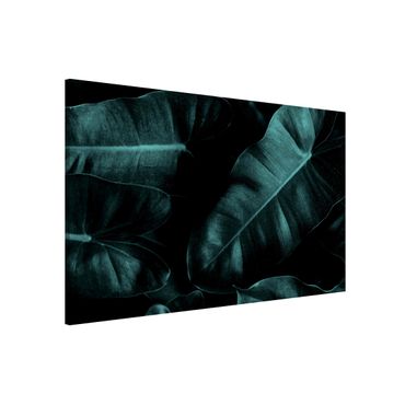 Tableau magnétique - Jungle Leaves Dark Green