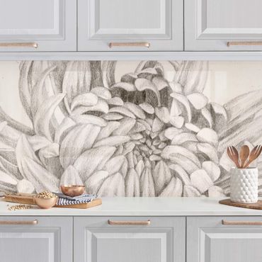 Revêtement mural cuisine - Botanical Study Chrysanthemum I