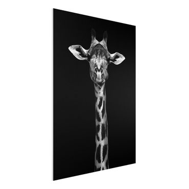 Tableau en forex - Dark Giraffe Portrait