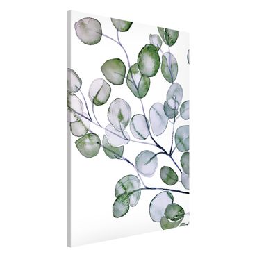 Tableau magnétique - Green Watercolour Eucalyptus Branch