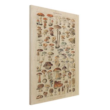 Impression sur bois - Vintage Board Mushrooms