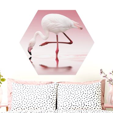 Hexagone en alu Dibond - Flamingo Dance