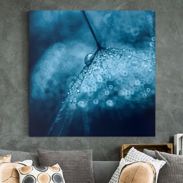 Impression sur toile - Blue Dandelion In The Rain