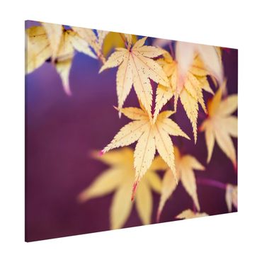 Tableau magnétique - Autumn Maple Tree