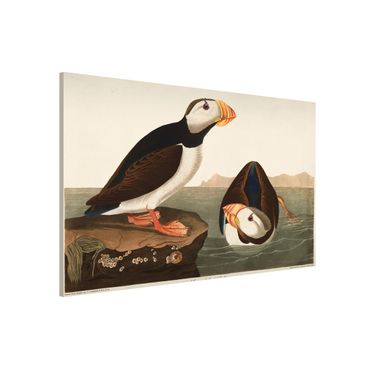 Tableau magnétique - Vintage Board Puffin II