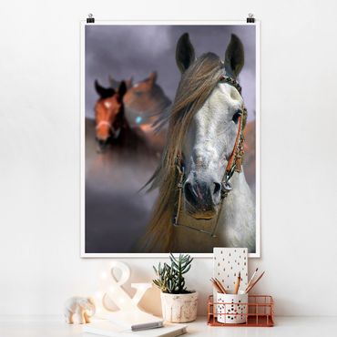 Poster animaux - Horses in the Dust