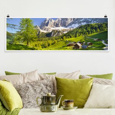 Poster panoramique nature & paysage - Styria Alpine Meadow