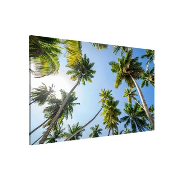 Tableau magnétique - Palm Tree Canopy