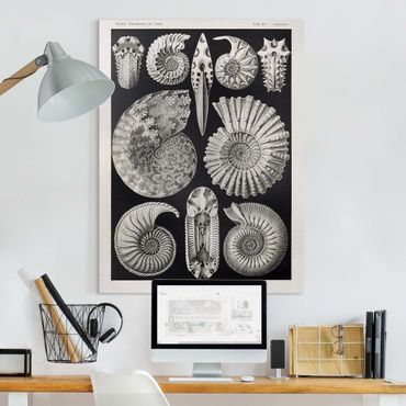 Impression sur toile - Vintage Board Fossils Black And White