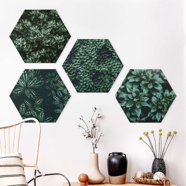 Hexagone en forex - Green Leaves Set I